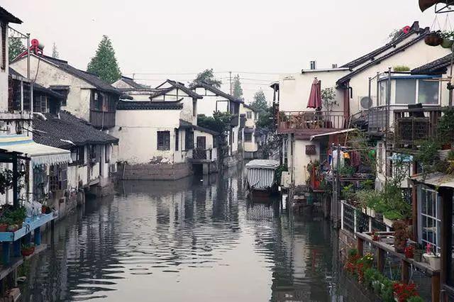 水果射击挑战